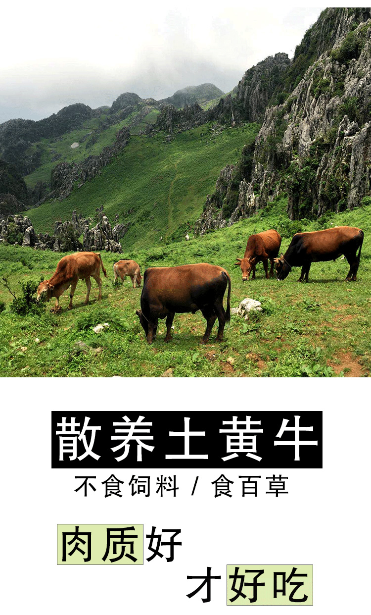 云南鲜花饼,清真鲜花饼,手工鲜花饼,伊可兰